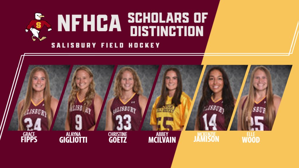 Congratulations to our 6 Student Athletes that were selected to the NFHCA Scholars of Distinction, earning a 3.9 GPA or higher for the fall semester! #GoGulls #SUFH