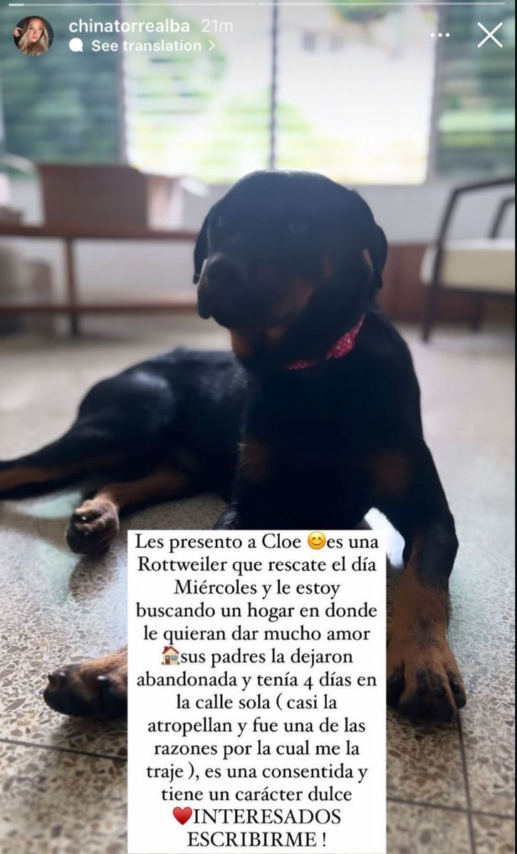 Instagram <a href="/Chinatorrealba/">Maria Fabiana</a>