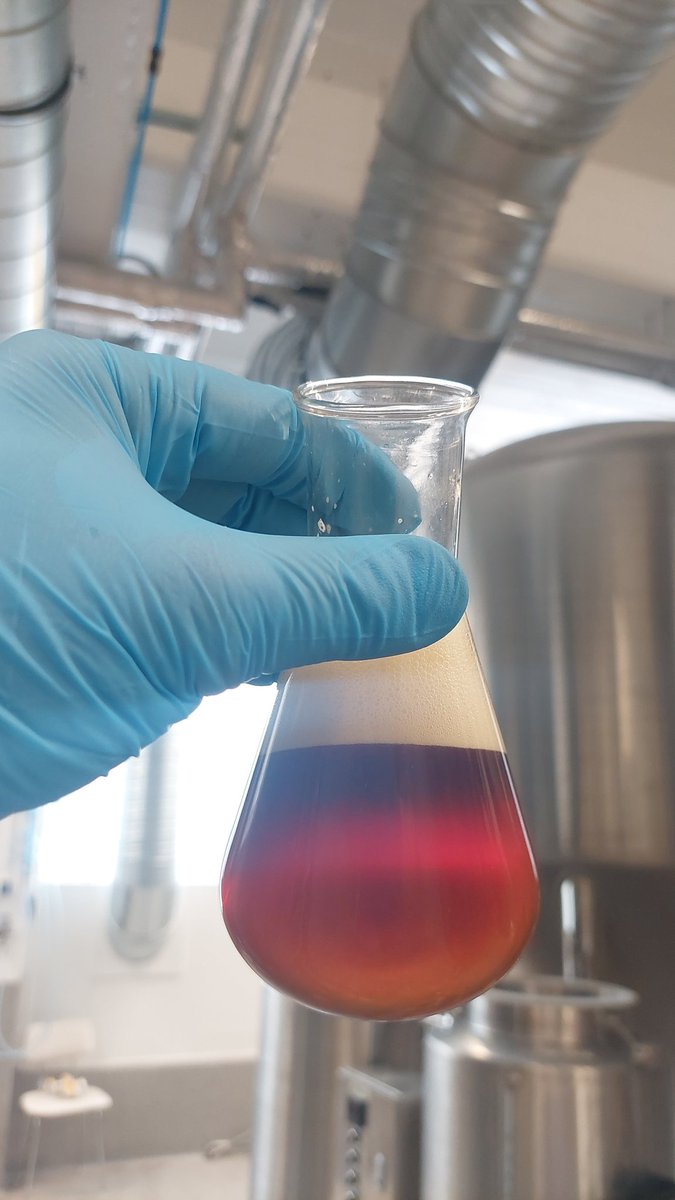 RVK Brewing Co. tweet media