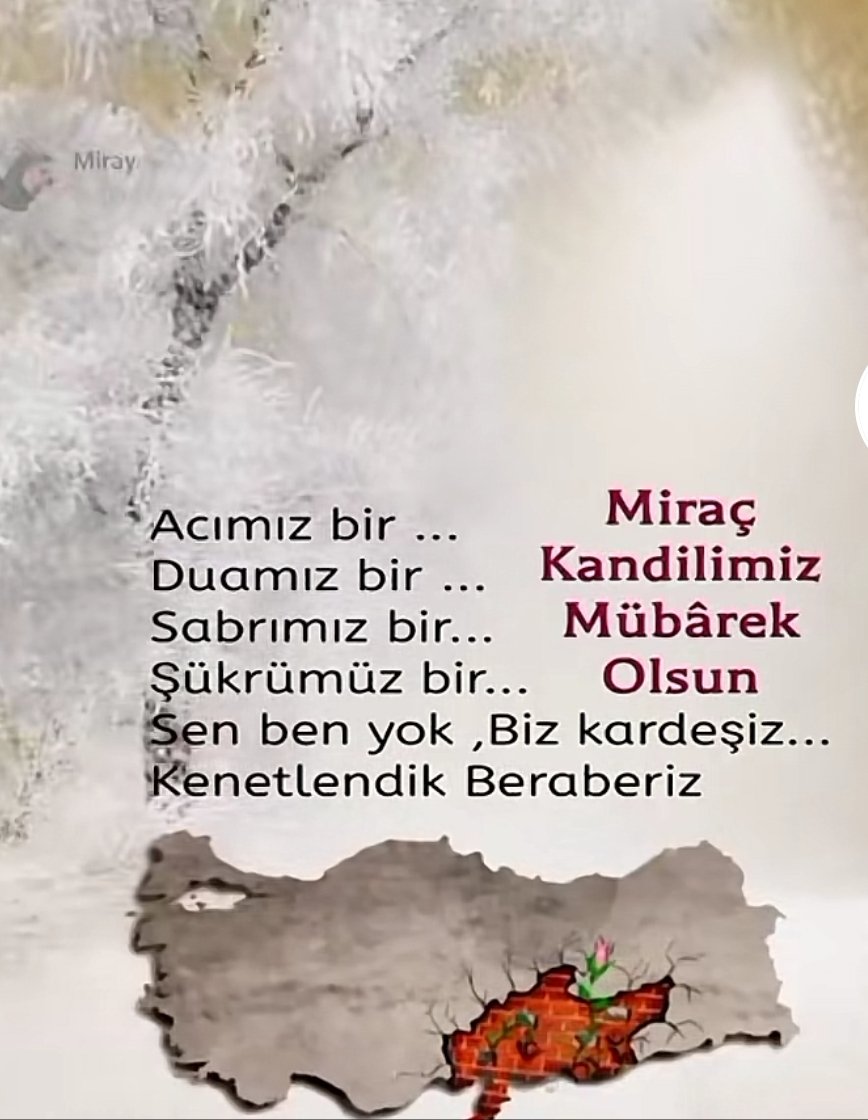 TuracZulfikar's tweet photo. https://t.co/VK1TeF549e