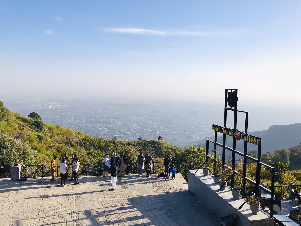 Areena Mubarak tweet media