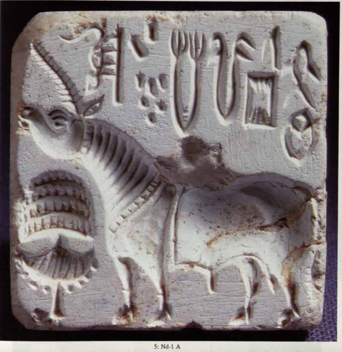 yajnadevam's tweet image. This beautiful seal from Nindowari is a condensed prayer from Sri Rudram:
Seal Nd-1 reads शमशरांगतम्र
The red/dark bodied one whose arrows are calm
शम - calm
शर - arrow
अंग - body
तम्र - red
Condensed Sri Rudram:
1.4 यात इषुः शिवतमा
1.11 यस्ताम्रो