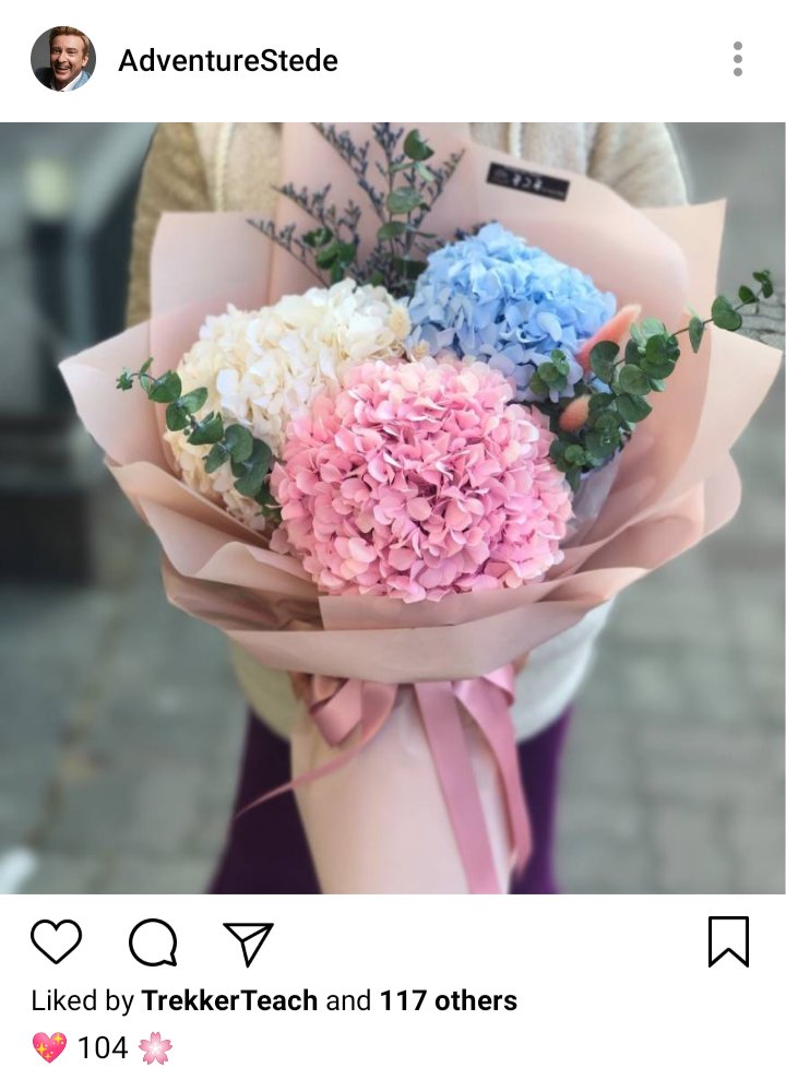 Stede's IG. Photo of bouquet of hydrangeas. Caption reads "💖104🌸" 
