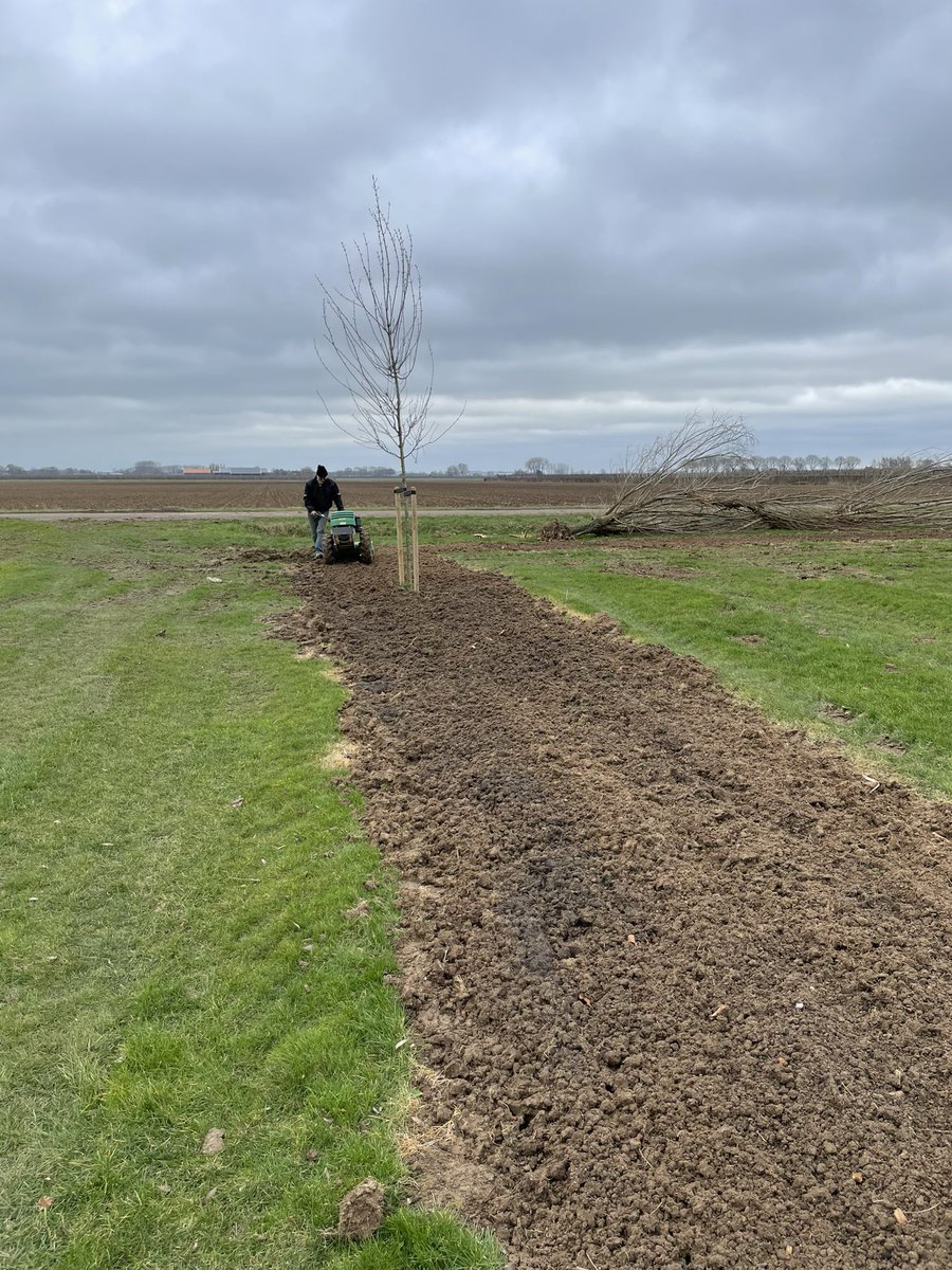 tjerkderegt's tweet photo. De #erfbeplanting van het project #ervenplus hebben wij vandaag gezet. Nu alleen de nestkast voor de #steenuil en nog wat andere nestkastjes en we zijn weer rond. #biodiversiteit op het #erf. @Brab_Landschap @gemeentealtena https://t.co/I6fP5WvBNM