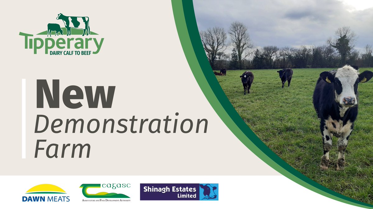 We are delighted to be working in partnership with <a href="/teagasc/">Teagasc</a>  and Shinagh Estates on our new Dairy Calf to Beef demo farm located in Fethard, Co. Tipperary, The goal of the farm is to operate and demonstrate a profitable dairy calf to beef production system on farm
#TipperaryDemo