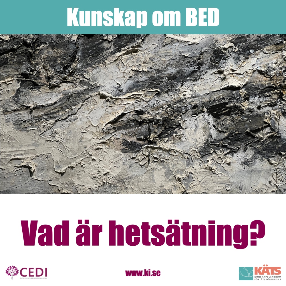 CEDI_KI photo