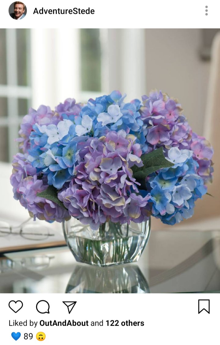 Stede's IG. Photo of bouquet of hydrangeas. Caption reads "💙89🙃" 