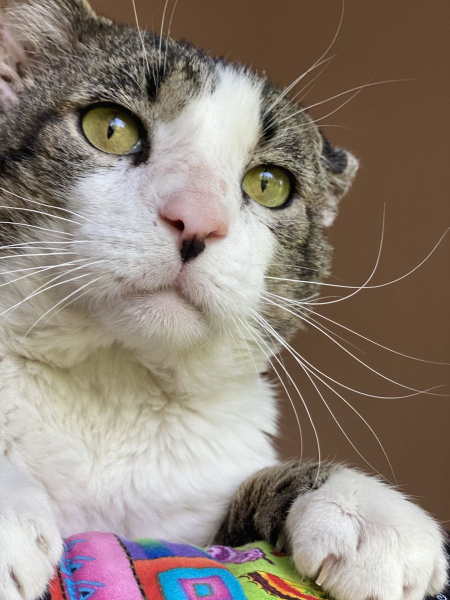 new papa pics just dropped! Colorado... he's been waiting awhile!