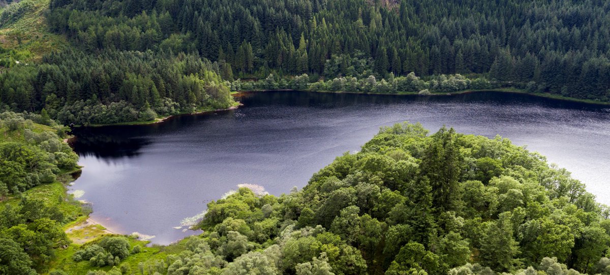 Loch Lomond & The Trossachs tweet media