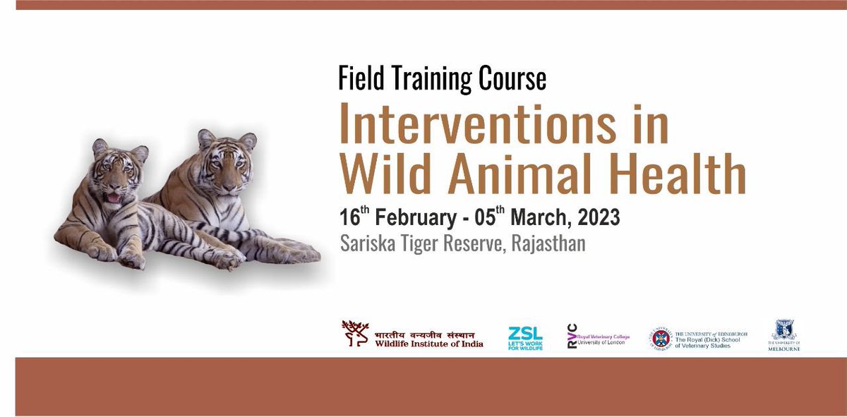 Wildlife Institute of India tweet media