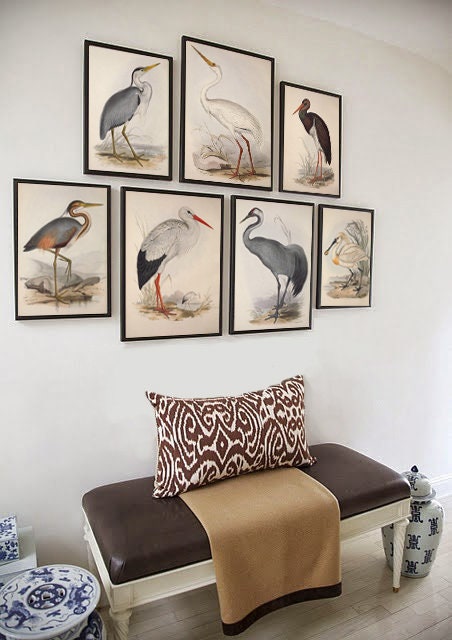 Ibis Birds Print Set of 7, Large Wall Art Decor, Home Gallery, Crane, Heron, Stork etsy.me/3lyplo7 #unframed #bedroom #animal #vertical #birdart #birddecor #birdsetof8 #birdwallart #largewalldecor