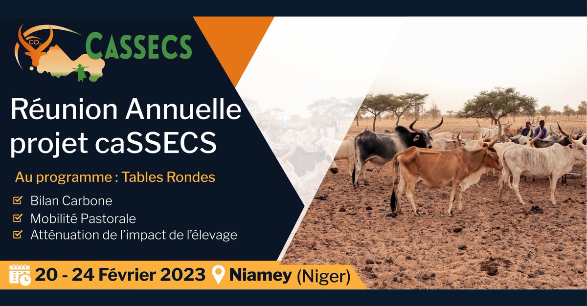 ProjetCassecs's tweet photo. La Réunion Annuelle du projet #CaSSECS se tiendra du 20 au 24 Février à NIAMEY au NIGER.
Au programme, des tables rondes sur le Bilan Carbone, la Mobilité Pastorale et sur l'Atténuation de l'Impact de l'Elevage https://t.co/YtvGBt7POt