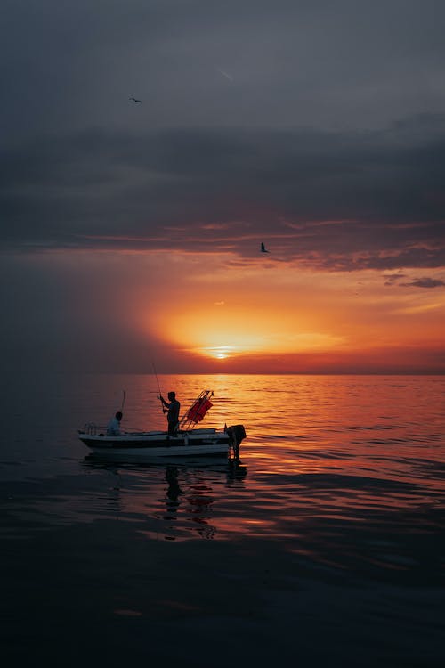 DockageLink's tweet image. Fishing is a great way to enjoy the company of friends or family. All you need is a boat and some bait (which you can buy or make), and you're ready to go. 

What is your favorite fishing memory?

#Fishing #FishingTrip