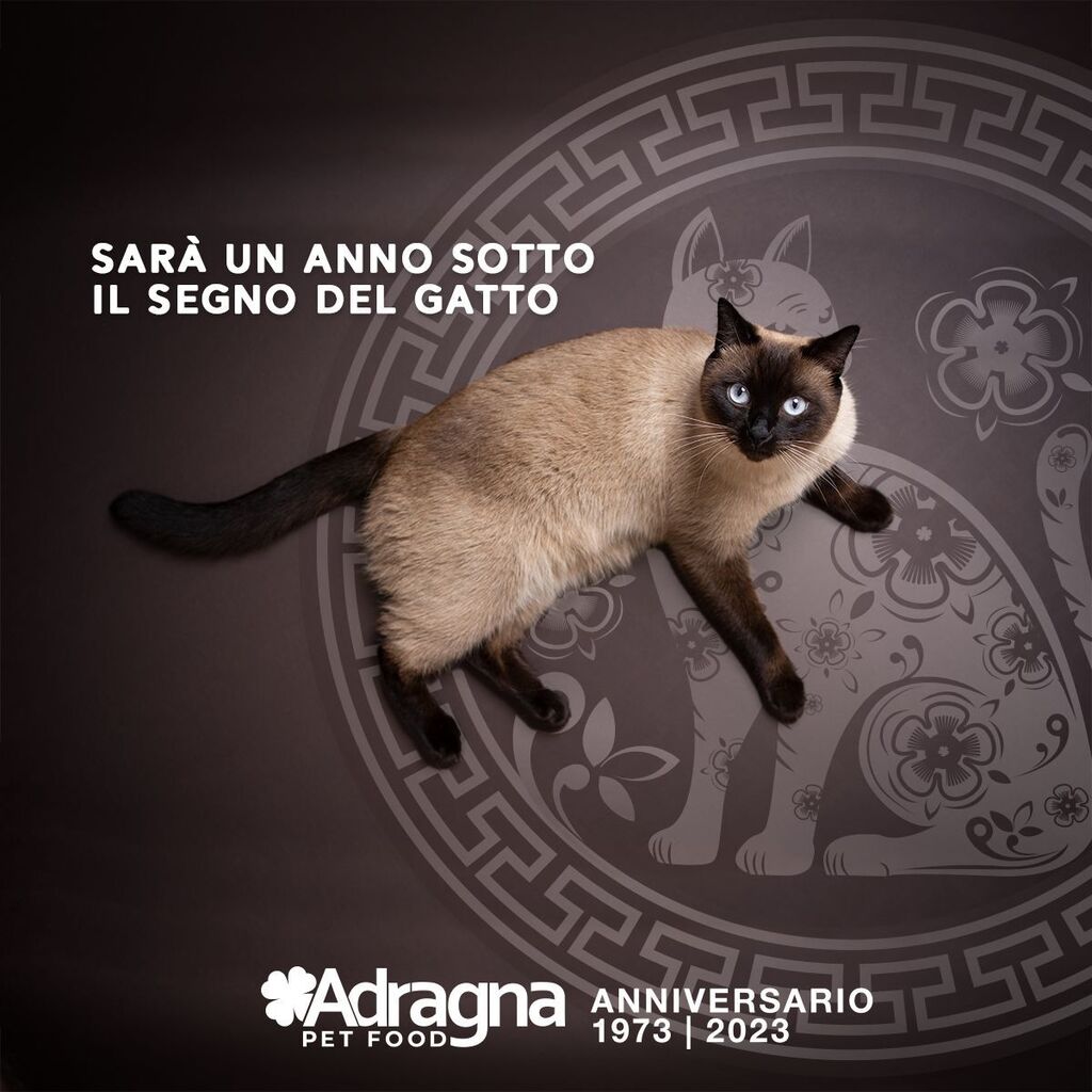 AdragnaPetFood's tweet photo. Il 2023 è l’anno del Gatto, se sei nato in uno degli anni del Gatto recenti come il 1951, 1963, 1975, 1987, 1999 o il 2011, allora il tuo segno zodiacale vietnamita è quello del Gatto. I vietnamiti credono che le persone nate sotto questo segno zodiacale siano dotate di buon… https://t.co/TKbrXTQe0j