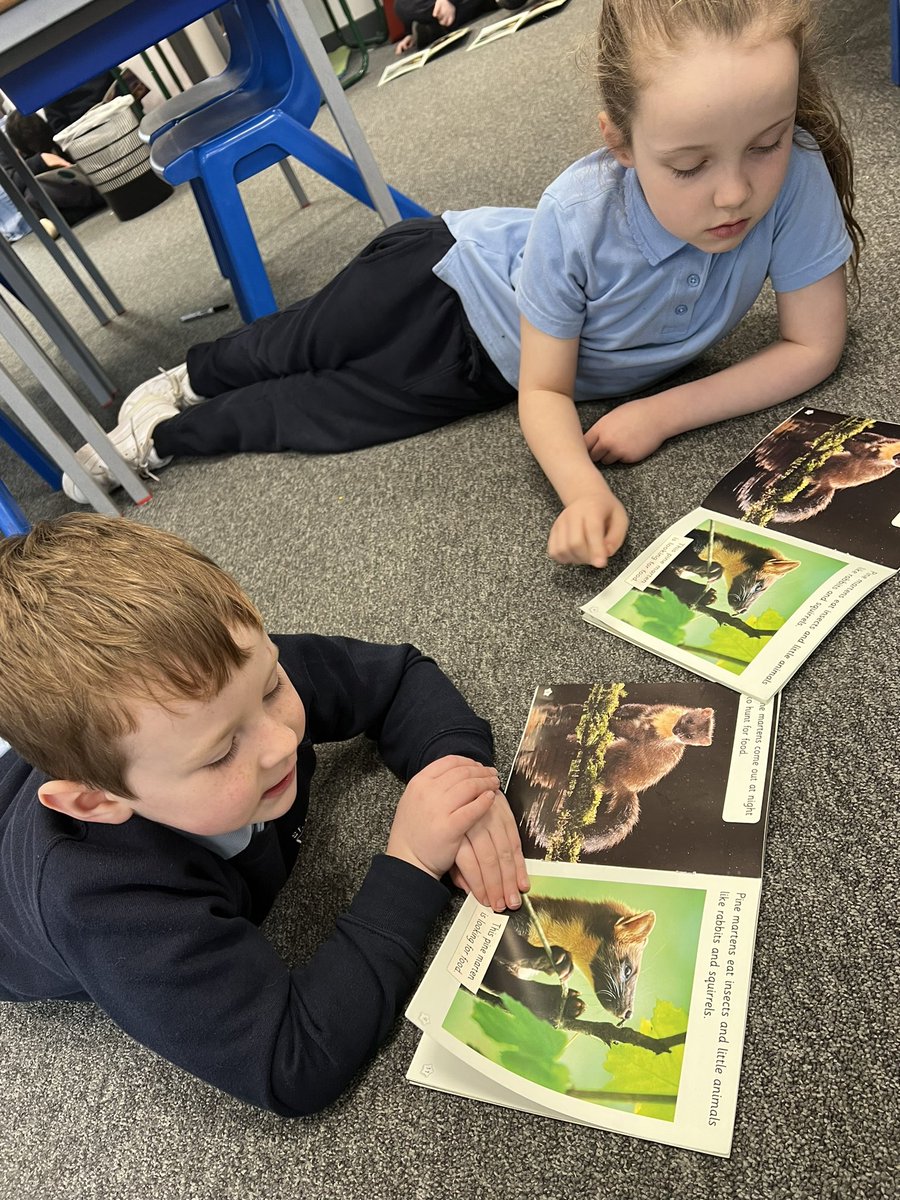Paired reading!! Learning all about Scotland’s wildlife.🏴󠁧󠁢󠁳󠁣󠁴󠁿🏴󠁧󠁢󠁳󠁣󠁴󠁿
