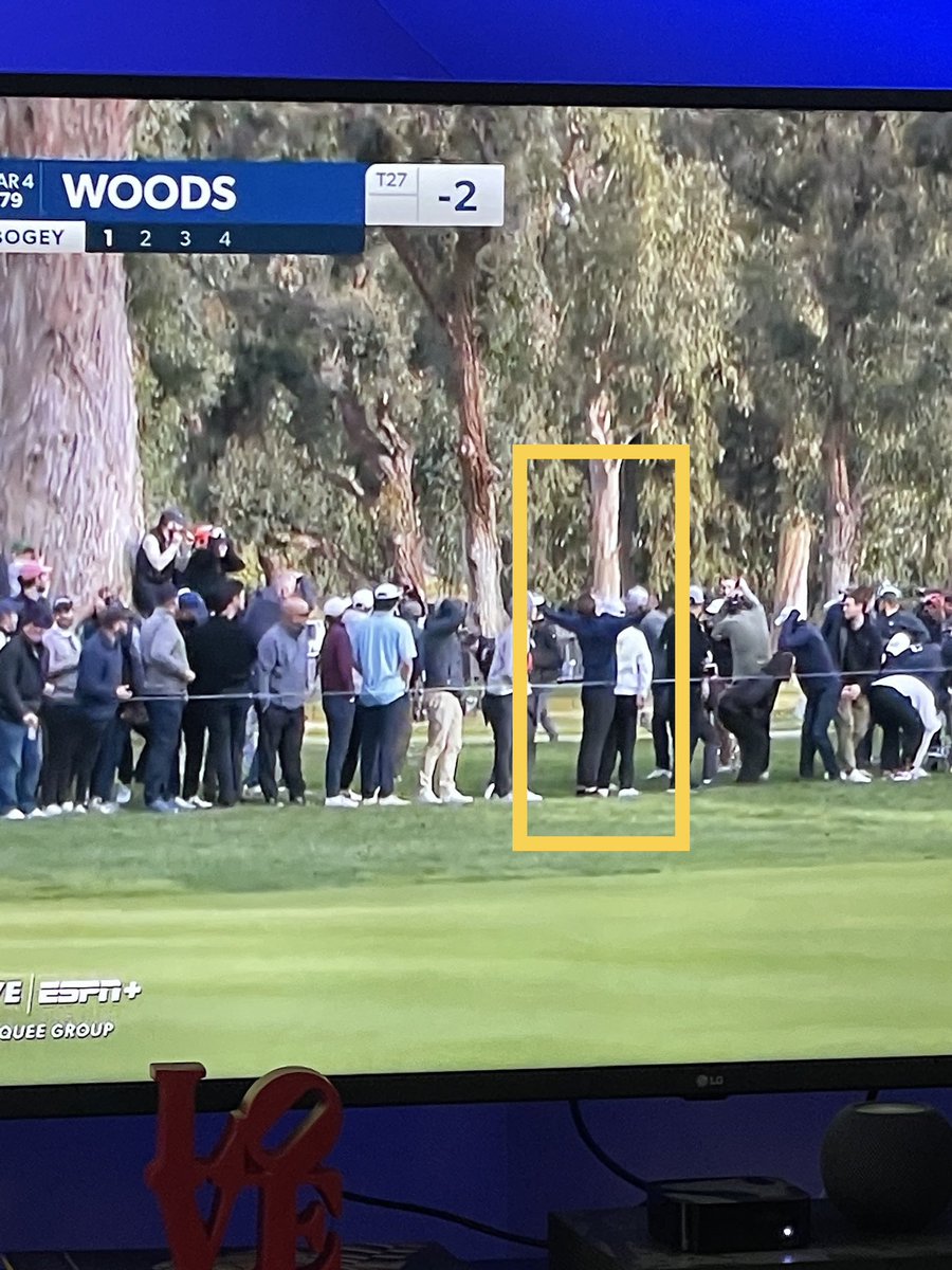 Tiger just sliced one right. Look at my man in the crowd 🤣🤣