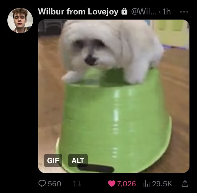 Wilbur tweeted on his private!