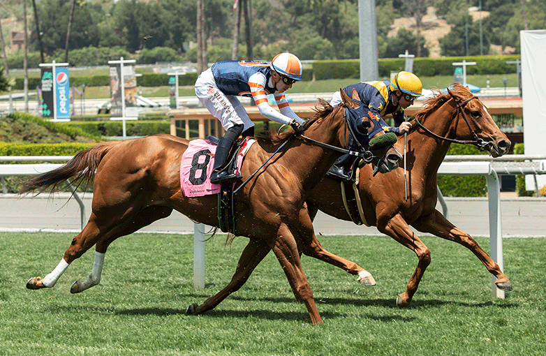 lrfracing's tweet photo. Good luck to all connections of #TooBossy racing on Sunday, February 19th @santaanitapark in the 5th with jockey Ricky Gonzalez and trainer Mike Puype! #LRFR https://t.co/5ceXA4pr9i