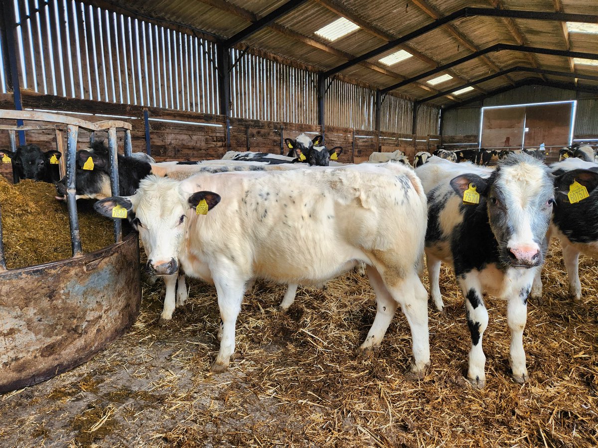 JamesTMuir's tweet photo. Another 36 Blues off to Market Drayton on Monday. https://t.co/GyJyclaQgE