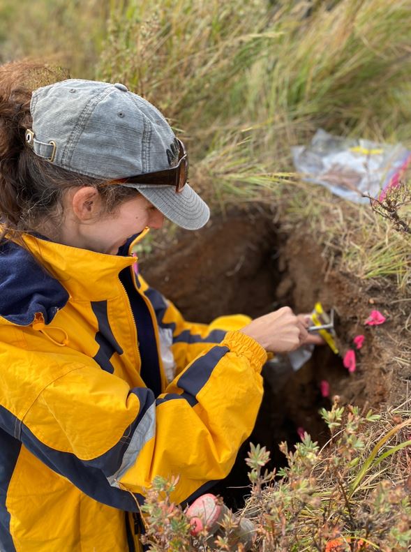 Nicholas R. Patton tweet media