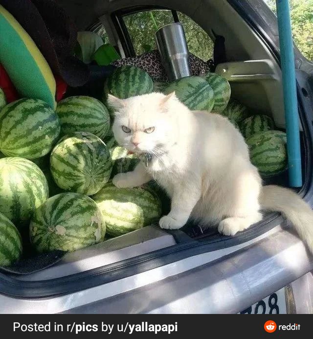 Melee players on the Raging Tempest when the healer wants to pick some orbs