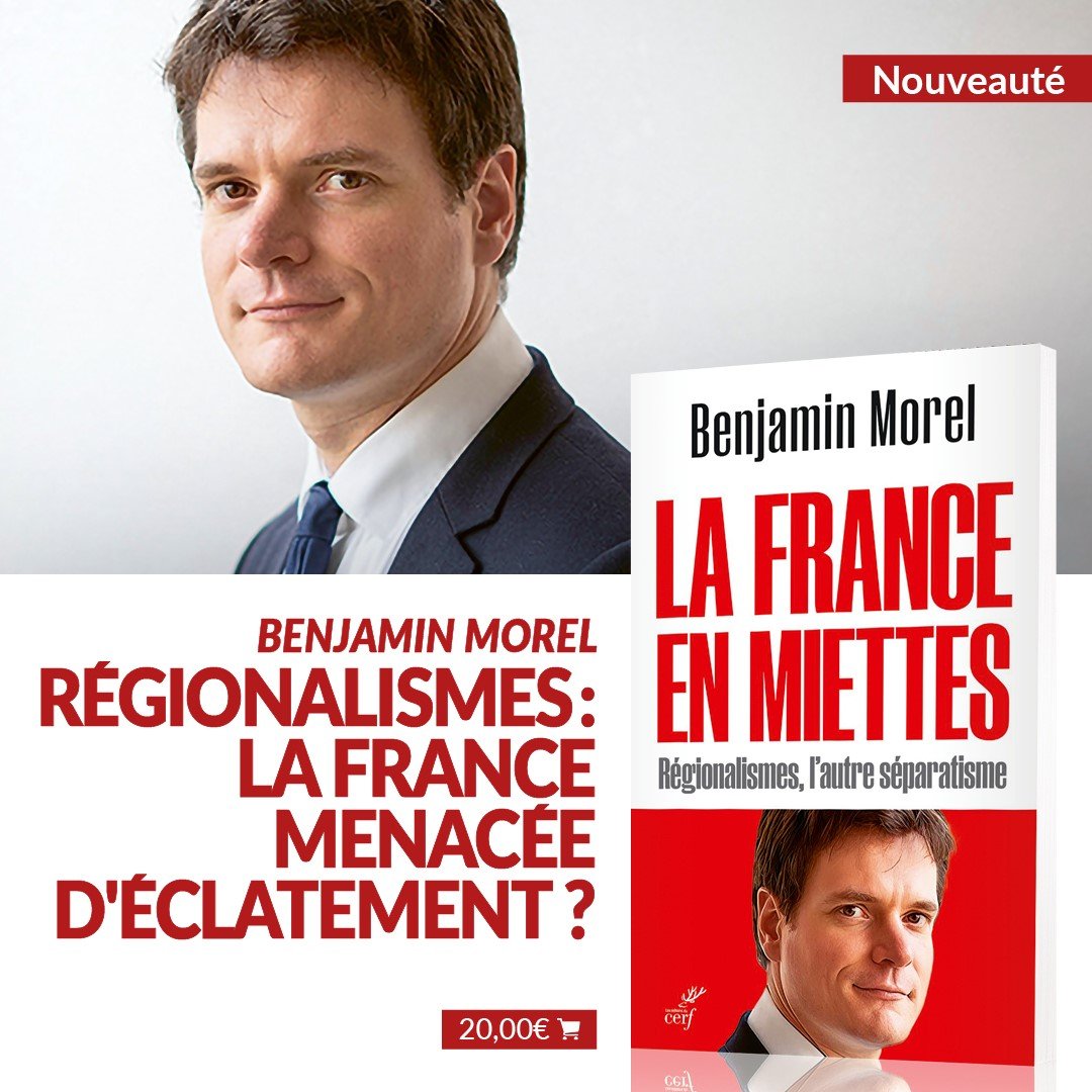 EditionsduCERF's tweet photo. 📚En librairie !
➡️ Régionalismes : la France menacée d'éclatement ? 
📍 La France en miettes de Benjamin Morel https://t.co/oyADWCYEtT