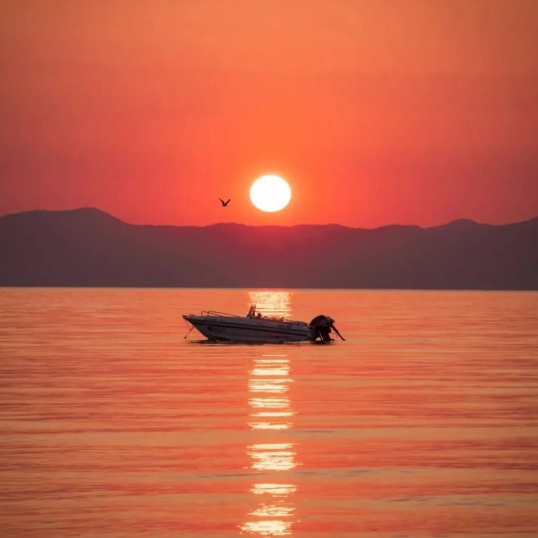 VisitHalkidiki's tweet photo. Is it orange or is it red? Pretty. That’s what it is!
Image credits: @chalkidiki_dreams #Halkidiki #sunsetlover #sunsets https://t.co/fKJUszK9Bf