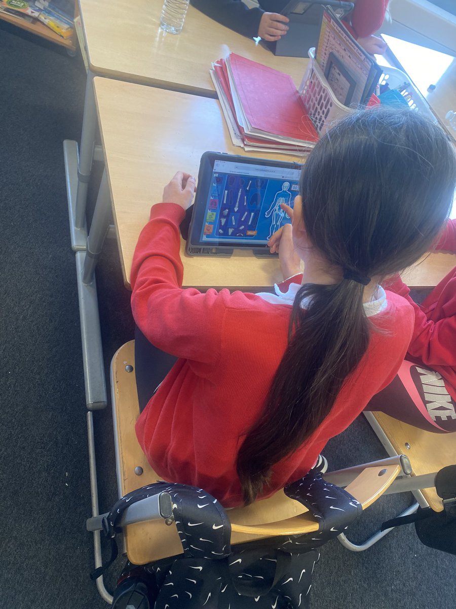MrsCarson15's tweet photo. We have been learning about the structure of the skeleton. We completed a quiz to place the bones in the correct places as quickly as possible @StTeresasPS @STEMglasgow https://t.co/kuq9N2RG80