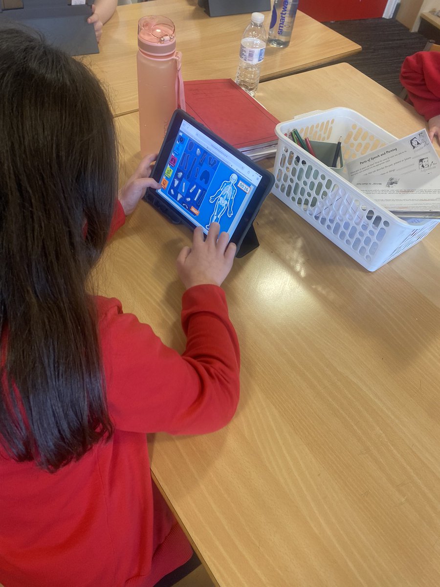 MrsCarson15's tweet photo. We have been learning about the structure of the skeleton. We completed a quiz to place the bones in the correct places as quickly as possible @StTeresasPS @STEMglasgow https://t.co/kuq9N2RG80