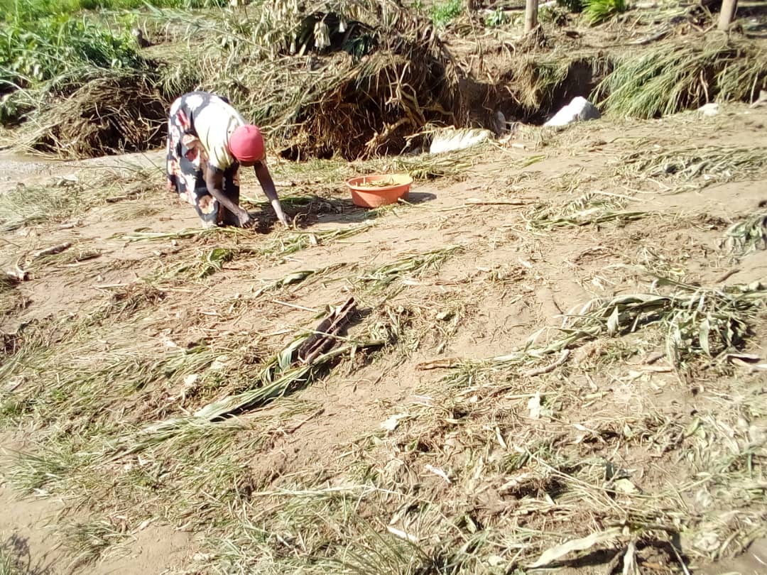 Maru_foundation's tweet photo. Imagine waking up to such a loss! A garden of crops (beans) having been washed away by river floods & mudslides. This is why initiatives that support local actions is highly needed. #ClimateEmergency #EnvironmentProtection #LocalActivism
@anna_lillith @canuckcarl @CJOlusoga https://t.co/ATchNyqBYy