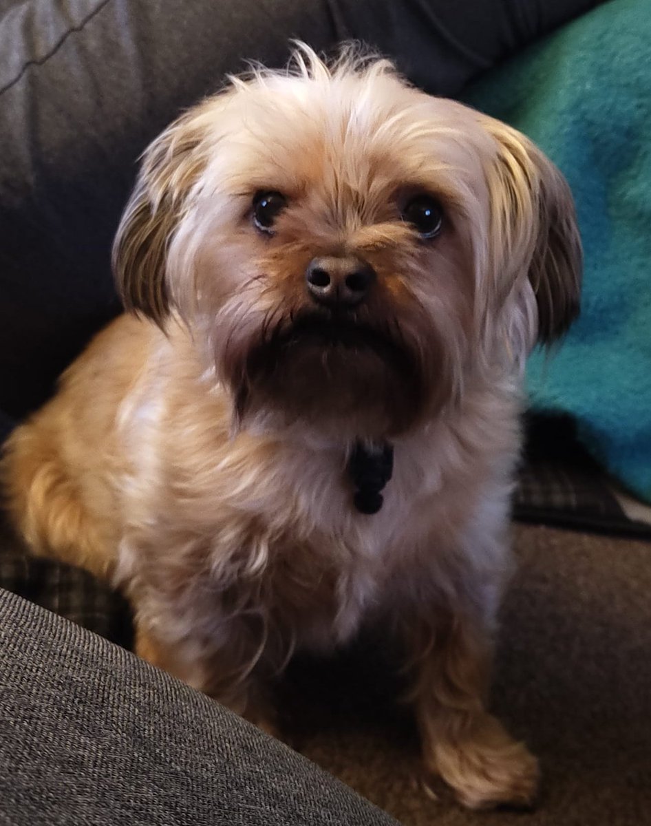 Emma|Be kind tweet media