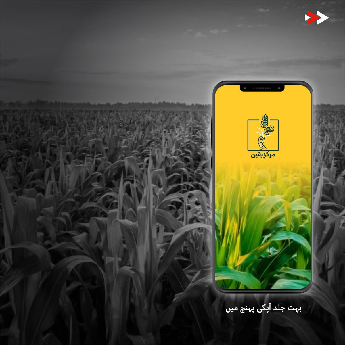 fertiscience's tweet photo. مرکز یقین
بہت جلد
آپ کی پہنچ میں
Launching Very Soon
MARKAZ YAQEEN
#MarkazYaqeen
#fertiscience #FS. #ScienceForSuccess
#westweygroup https://t.co/gSzVtgU1lQ
