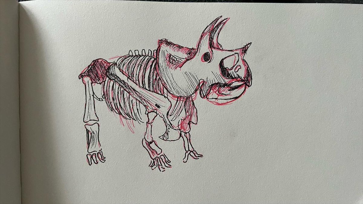 Ameliartt's tweet photo. look at these dinos i drew 🦕 https://t.co/1hnf5BM8hf