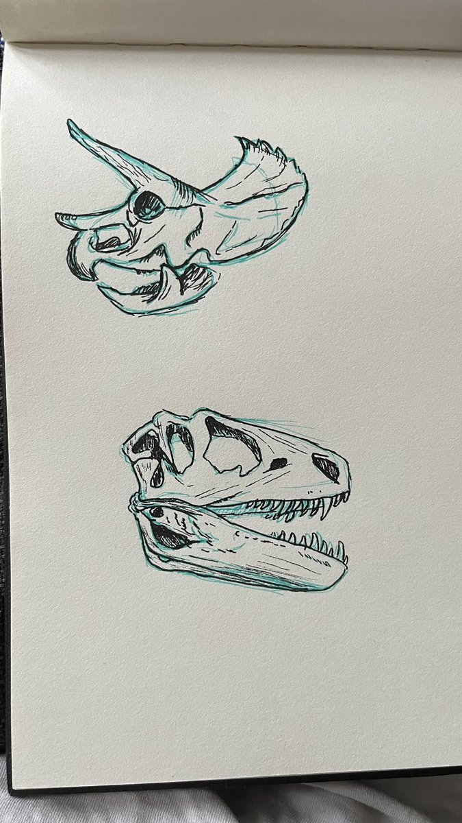 Ameliartt's tweet photo. look at these dinos i drew 🦕 https://t.co/1hnf5BM8hf