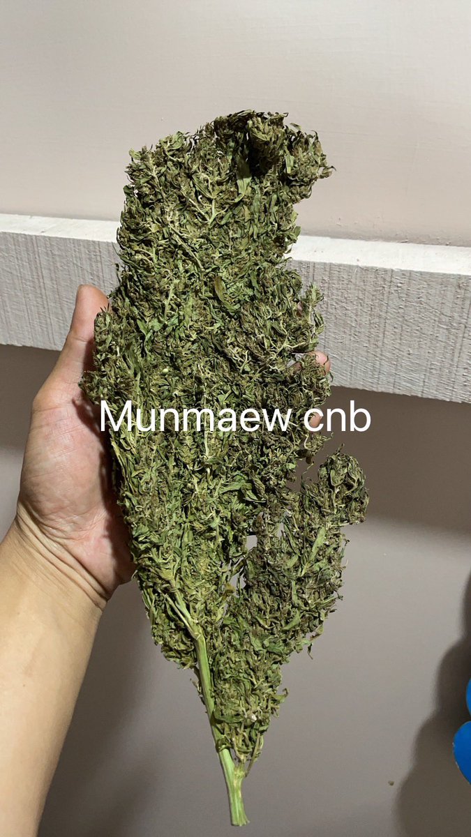 Munmaew642 tweet media