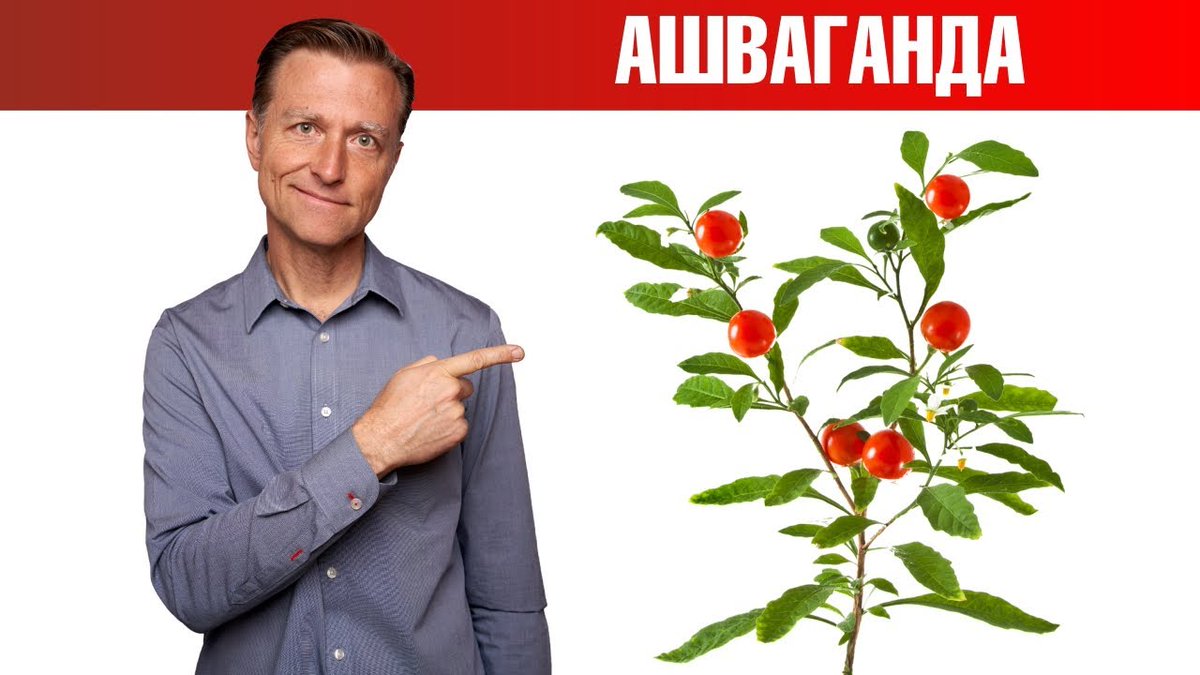 9 доказанных преимуществ ашваганды для здоровья mezoroller-shop.kiev.ua/articles/devya…