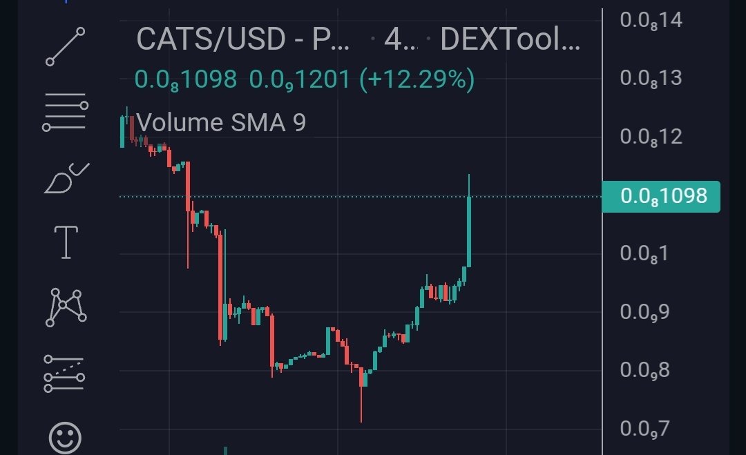 army_shiba's tweet photo. Market is good &amp; #Catcoin rising from dip today. Hard work always pays off! 💯

@officialcatcoin https://t.co/9oLgerbFEQ