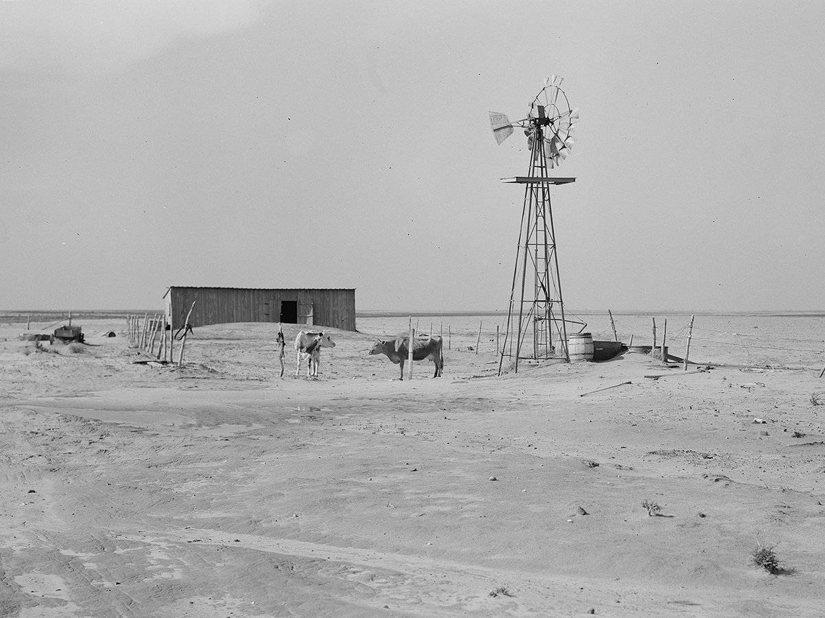TracesofTexas's tweet photo. Dust bowl barn and shed on farm near Boise City, Texas in 1938.  The drought came in three waves: 1934, 1936, and 1939–1940.  This area  looks very dry to me and the cattle are pretty thin. Hard times, indeed. I can hear a Woody Guthrie song being sung. 

Photo by Dorothea Lange. https://t.co/FLN4fM9Tlb