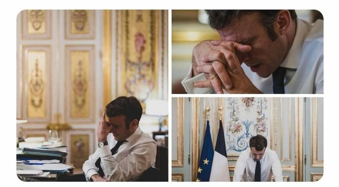 Dr Meming tweet media