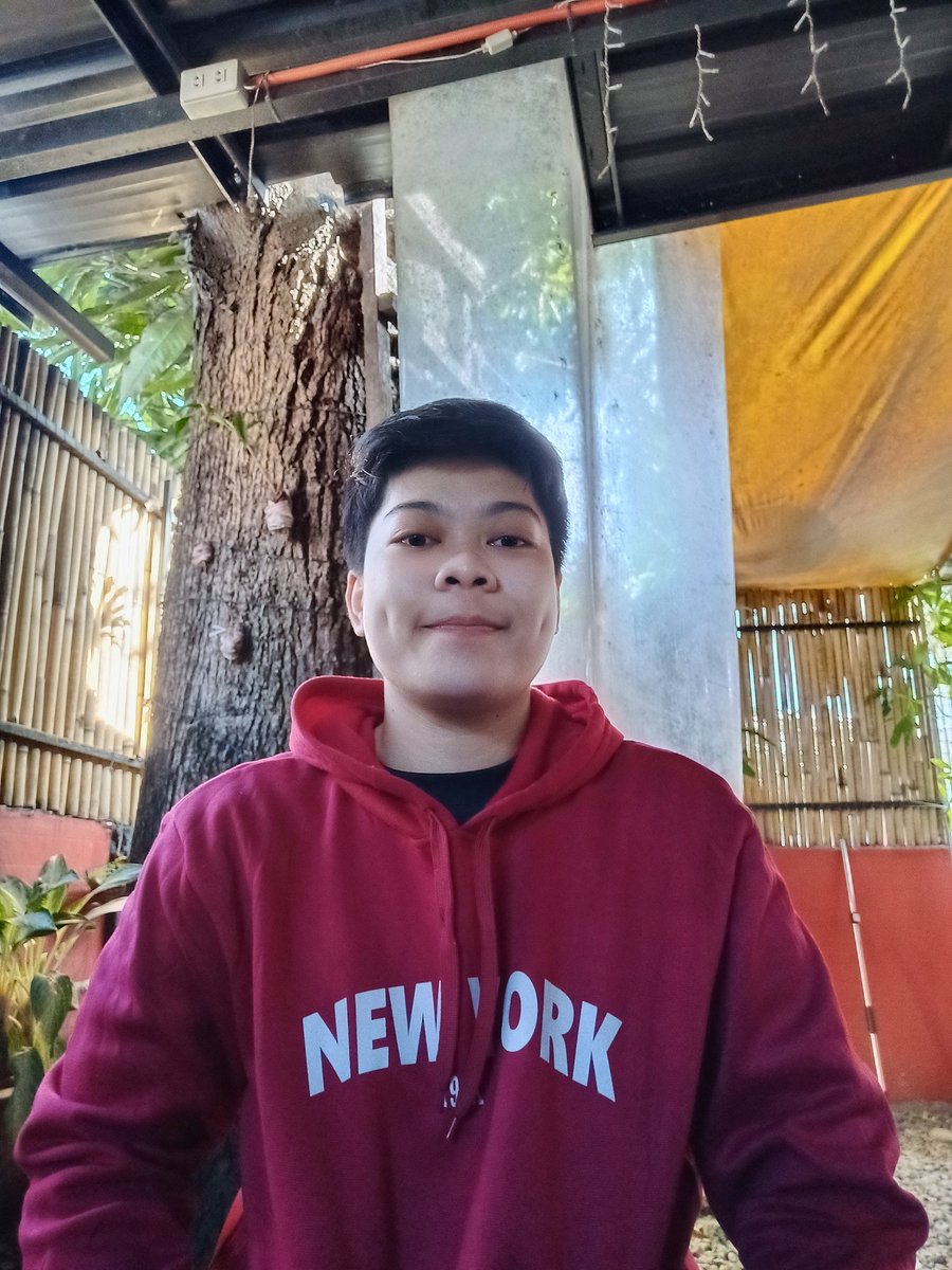 TEO tweet media