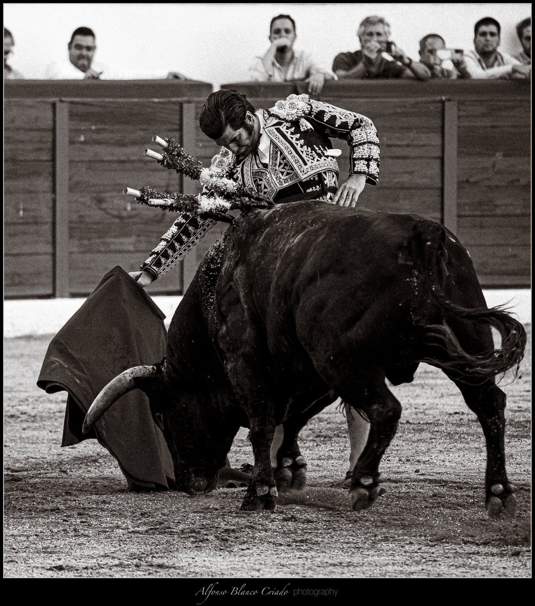 alfonsoblcr's tweet photo. “Lo que se hace rápido no dura. Las cosas grandes de la vida se han hecho despacio. Y es difícil que te enseñen eso”, @Moranteinfo
#Remedios22 #ColmenarViejo #detalles #toros #taurimaquia #vintage #blancoynegro #fotografíataurina https://t.co/6Rhdr0r9Lt