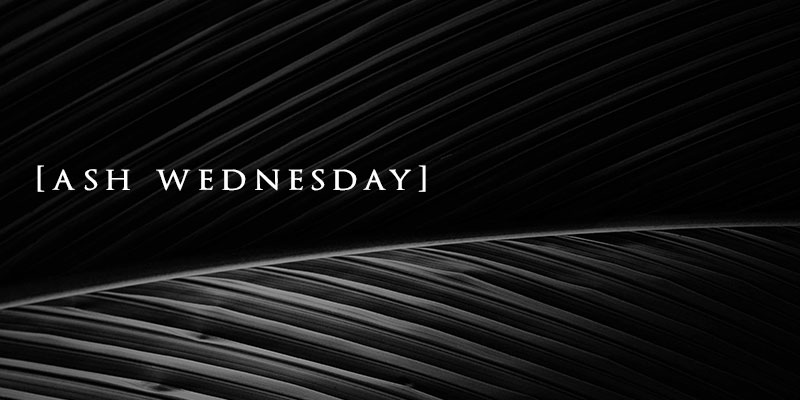 faccalgary's tweet image. On February 22, we will be gathering to observe Ash Wednesday at 7:00 pm in the Harvest Rooms at the Deerfoot Campus. You are invited to come and participate as we enter into the season of Lent. More info:
faccalgary.com/our-events/205…