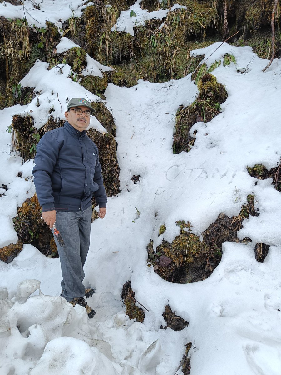nayakasanjeeva's tweet photo. Lichen exploration at Mayudia Pass, alt. 2655 m, Arunachal Pradesh. Few days old snow fall. @ArunachalTsm https://t.co/NWGbuOLaQZ