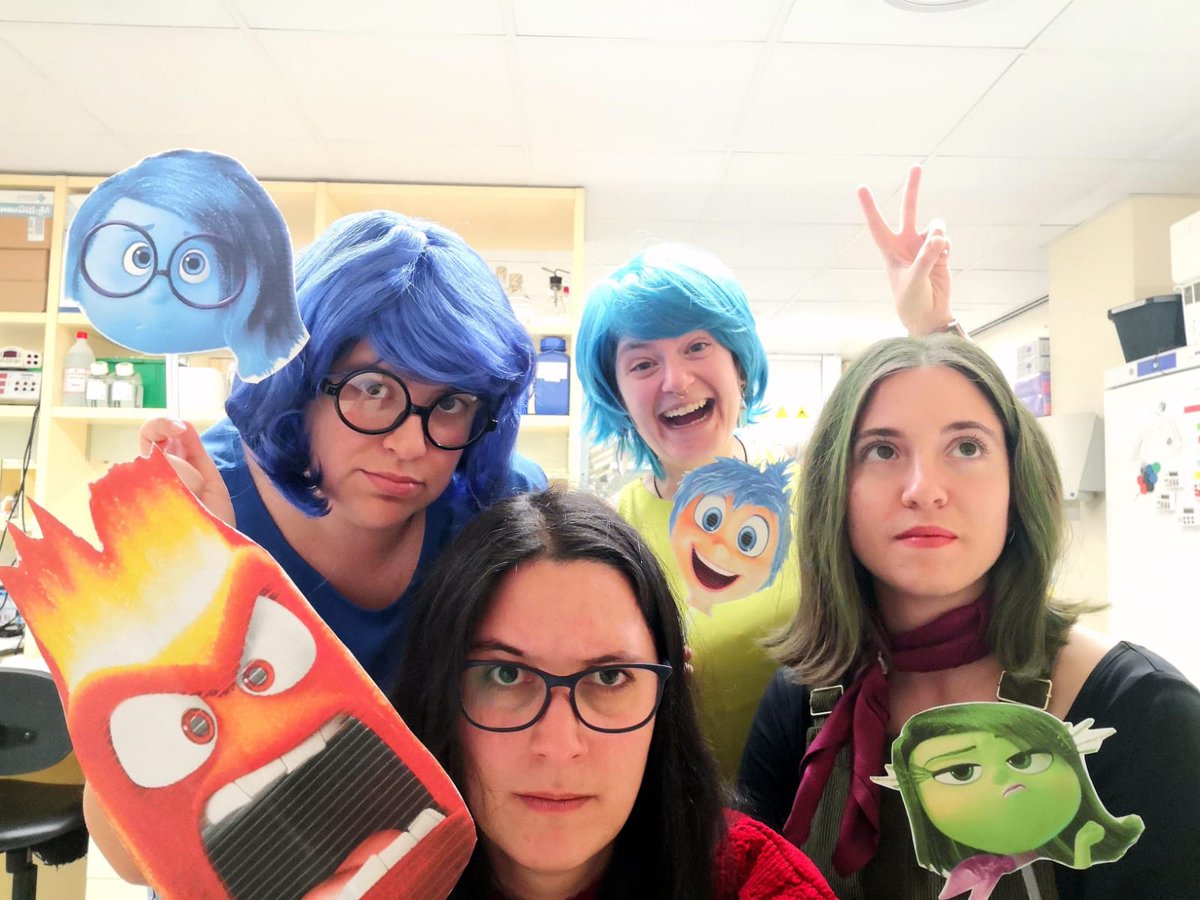 🎭Happy Carnival to all from the DDT Group!! 🎊