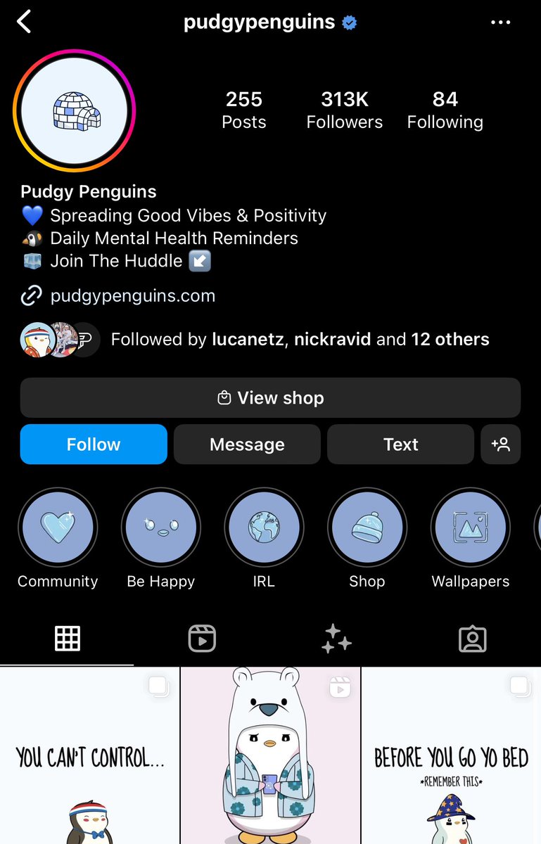 Congrats to <a href="/pudgypenguins/">Pudgy Penguins</a> surpassing 300k on IG. So incredible to see Web3 brands scale their IP outside of traditional Web3 media platforms. They are showcasing how content is KING.