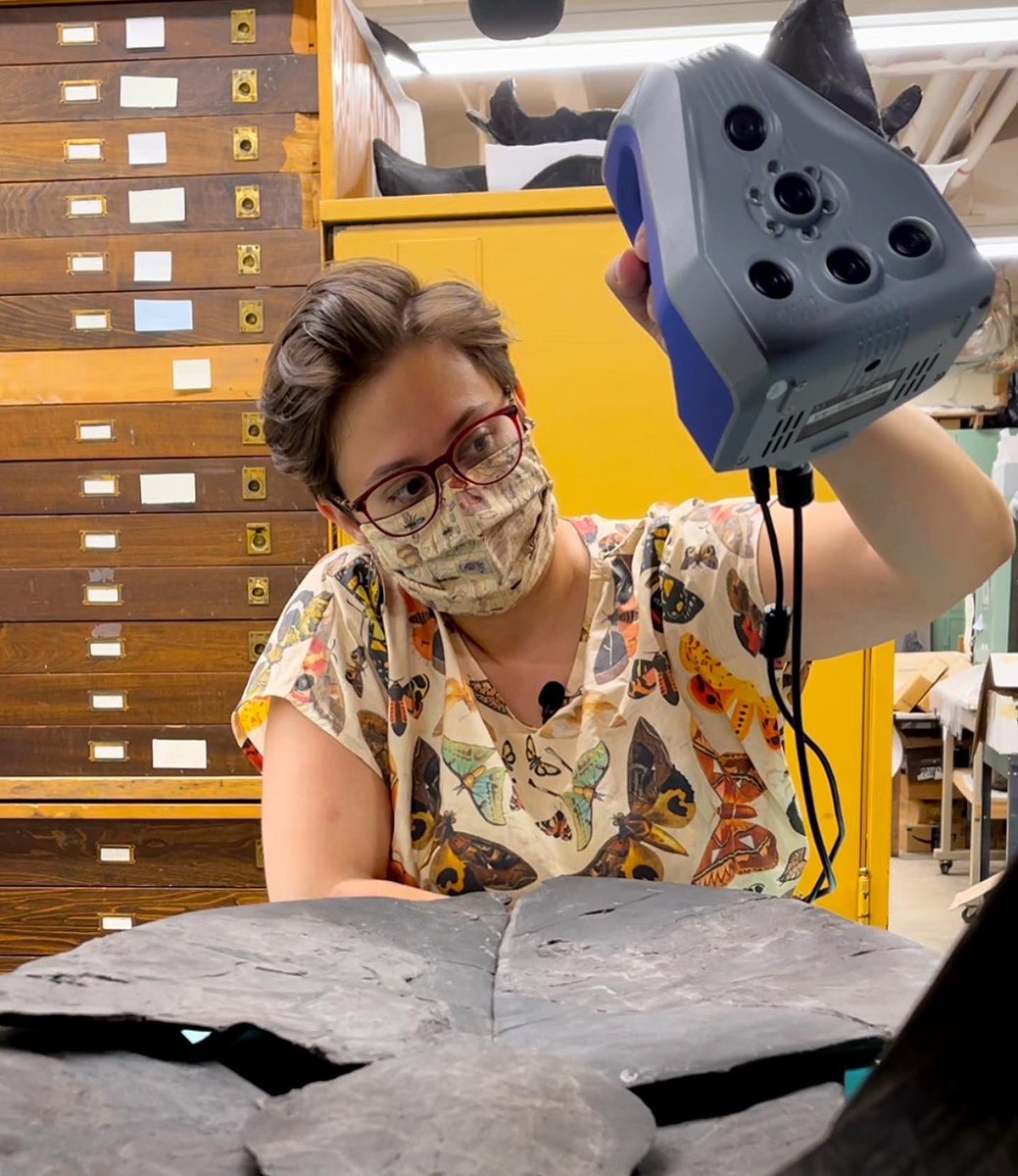 goCMNH's tweet photo. 🚨DUNKLEOSTEUS-sized news!🚨
 
A competitive @NSF grant totaling $785,162 was awarded to @goCMNH’s Dr. Caitlin Colleary (1), Associate Curator of Vertebrate Paleontology, Amanda McGee (2), Collections Manager of Vertebrate Paleontology &amp; Hailey Majewski (3), Digital Asset Manager https://t.co/eHaIUKzdLS