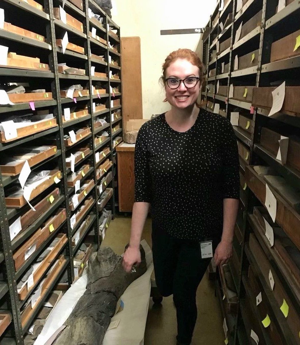 goCMNH's tweet photo. 🚨DUNKLEOSTEUS-sized news!🚨
 
A competitive @NSF grant totaling $785,162 was awarded to @goCMNH’s Dr. Caitlin Colleary (1), Associate Curator of Vertebrate Paleontology, Amanda McGee (2), Collections Manager of Vertebrate Paleontology &amp; Hailey Majewski (3), Digital Asset Manager https://t.co/eHaIUKzdLS
