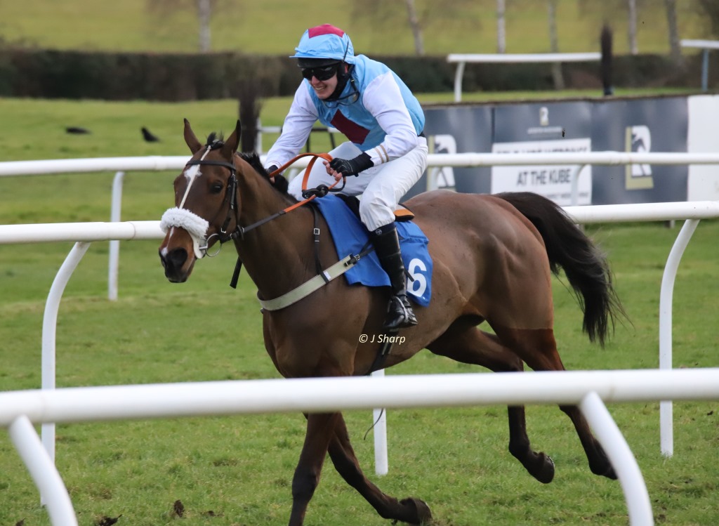 SharpBadger's tweet photo. Time Leader, winner of the Hunters' Chase yesterday for Mr Henry Crow and J. J. O'Shea @hannah_roachxx well done guys https://t.co/fylUEyIGCL