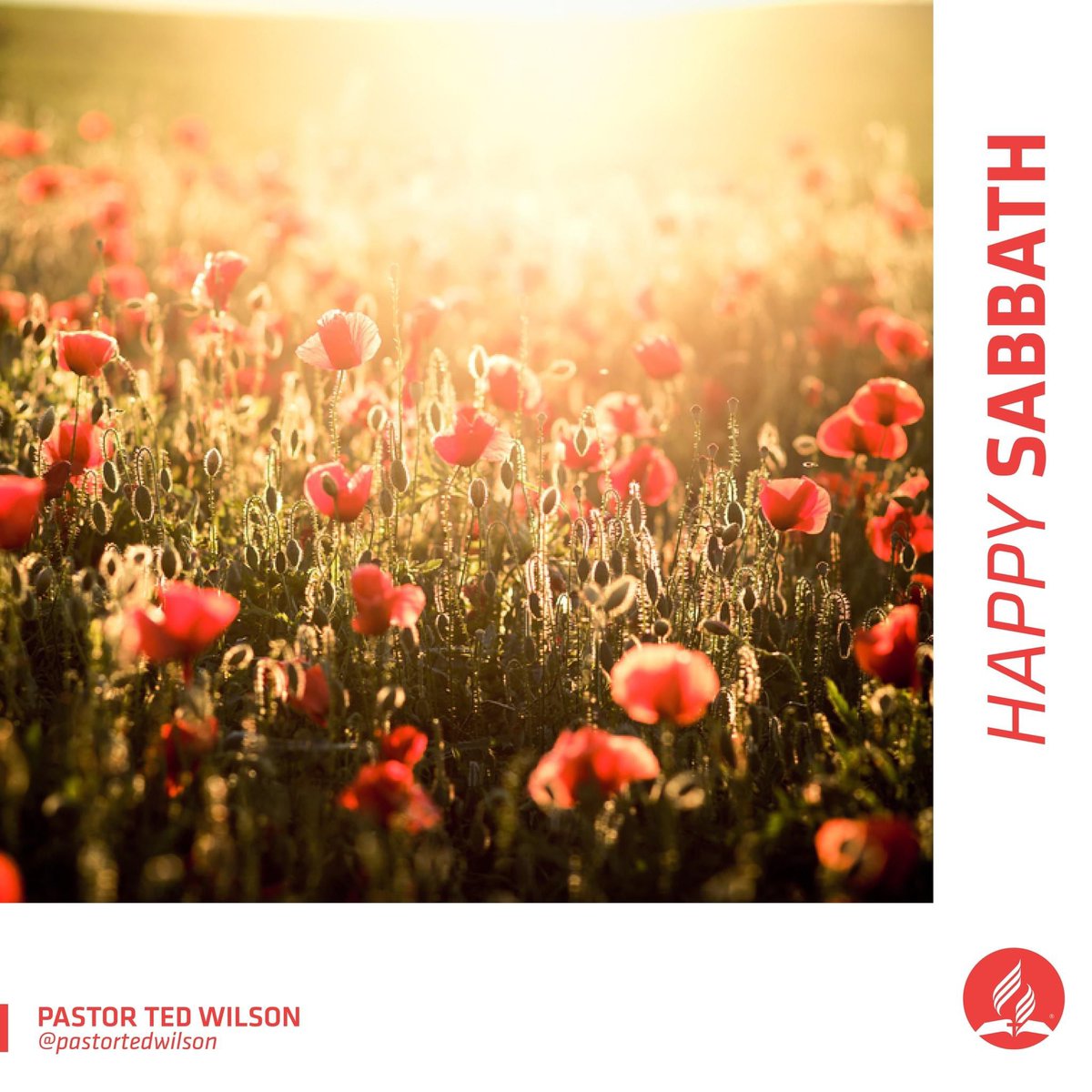 pastortedwilson's tweet photo. Happy Sabbath!

#Sabbath #HappySabbath https://t.co/gLJKiiQsi8