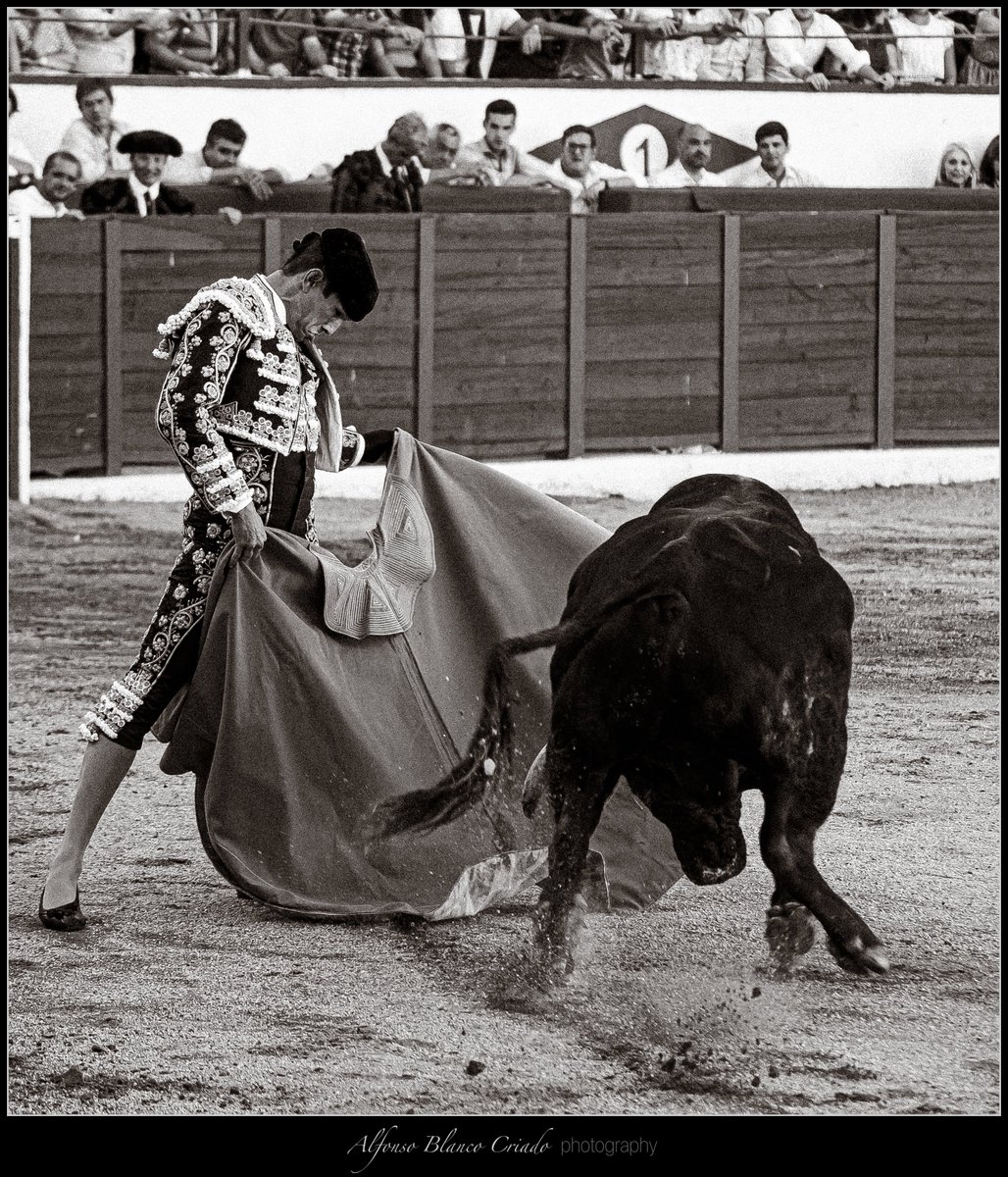 Puro terciopelo @JMManzanares 

#Remedios22 #ColmenarViejo #detalles #toros #taurimaquia #vintage #blancoynegro #fotografíataurina